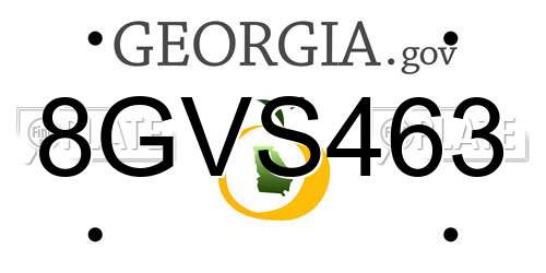8GVS463 Georgia License Plate