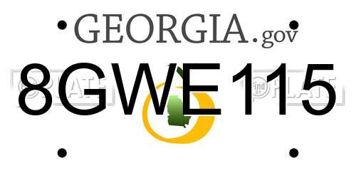 8GWE115 Georgia License Plate