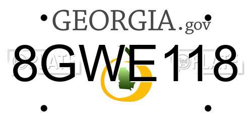 8GWE118 Georgia License Plate