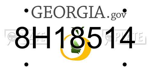 8H18514 Georgia License Plate