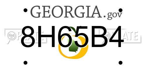 8H65B4 Georgia License Plate