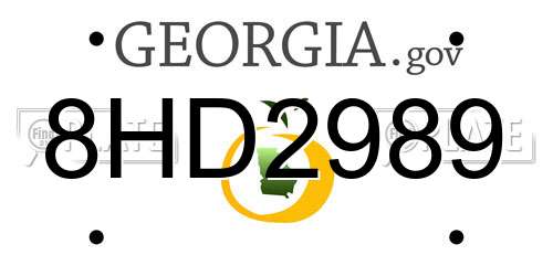 8HD2989 Georgia License Plate