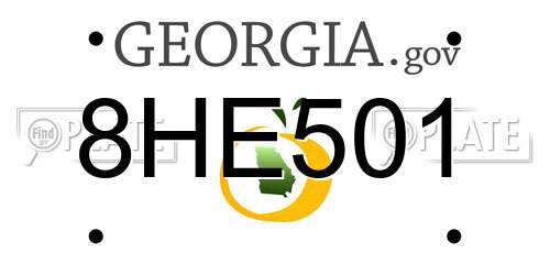 8HE501 Georgia License Plate