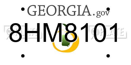 8HM8101 Georgia License Plate