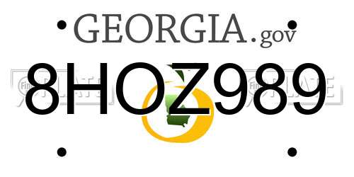 8HOZ989 Georgia License Plate