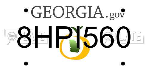 8HPI560 Georgia License Plate