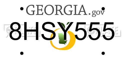 8HSY555 Georgia License Plate