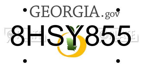8HSY855 Georgia License Plate