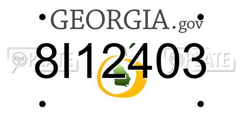 8I12403 Georgia License Plate