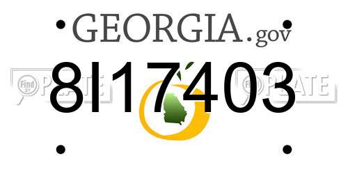 8I17403 Georgia License Plate