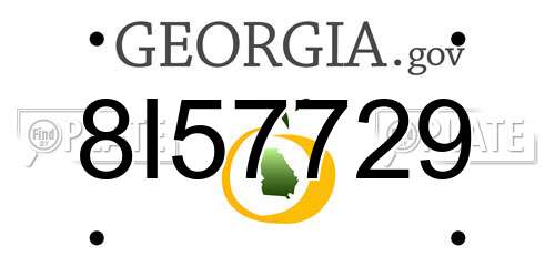 8I57729 Georgia License Plate