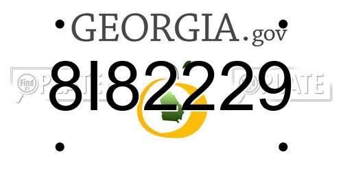 8I82229 Georgia License Plate