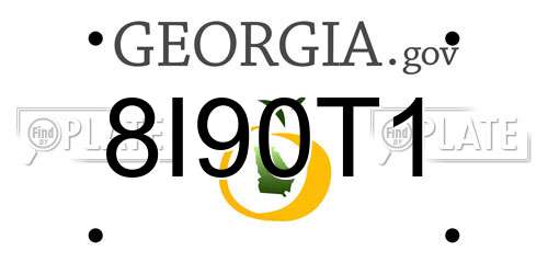 8I90T1 Georgia License Plate