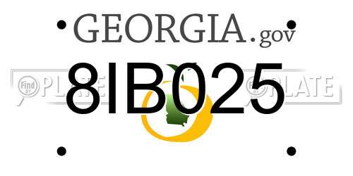 8IB025 Georgia License Plate