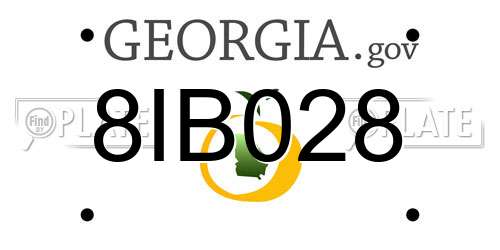 8IB028 Georgia License Plate