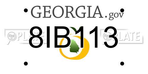8IB113 Georgia License Plate