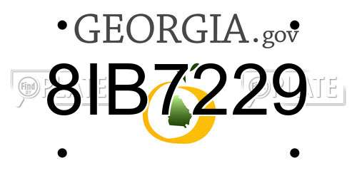 8IB7229 Georgia License Plate