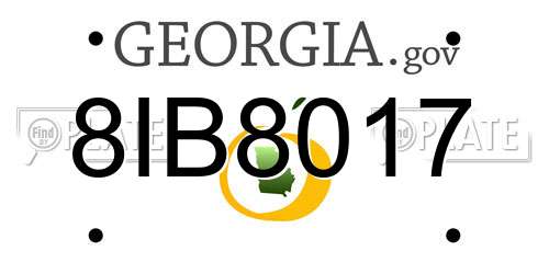 8IB8017 Georgia License Plate