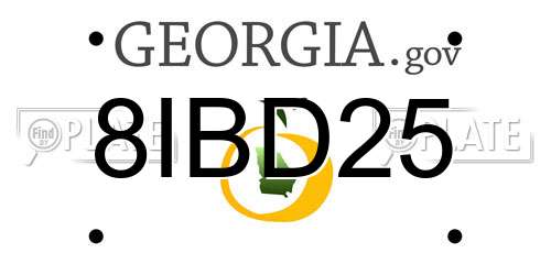 8IBD25 Georgia License Plate