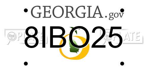 8IBO25 Georgia License Plate