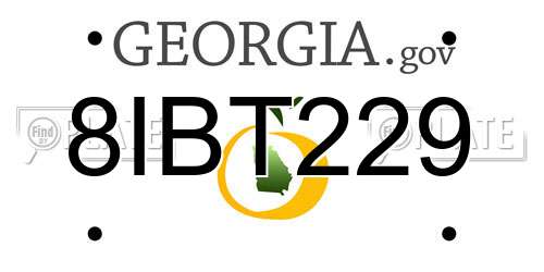 8IBT229 Georgia License Plate