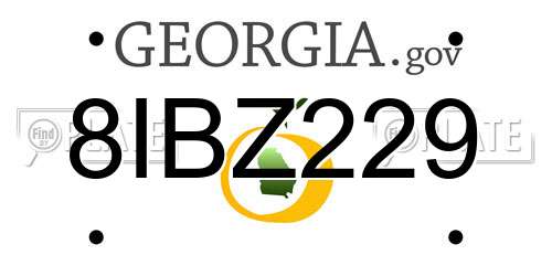 8IBZ229 Georgia License Plate