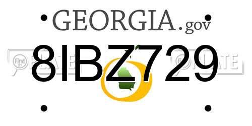 8IBZ729 Georgia License Plate