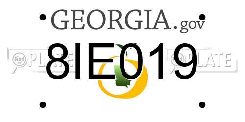 8IE019 Georgia License Plate