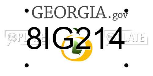 8IG214 Georgia License Plate