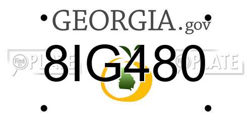 8IG480 Georgia License Plate