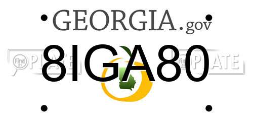 8IGA80 Georgia License Plate