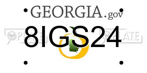 8IGS24 Georgia License Plate
