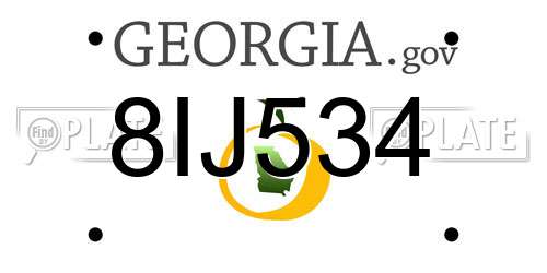 8IJ534 Georgia License Plate