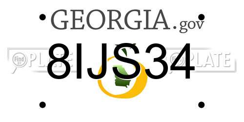 8IJS34 Georgia License Plate