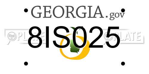 8IS025 Georgia License Plate