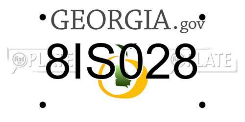 8IS028 Georgia License Plate