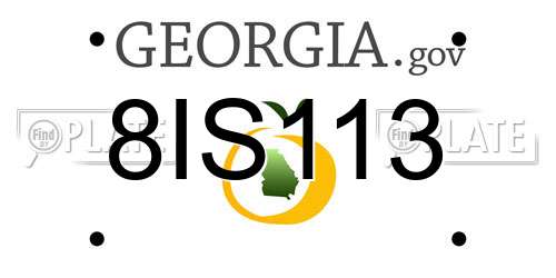 8IS113 Georgia License Plate