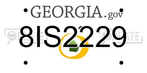 8IS2229 Georgia License Plate