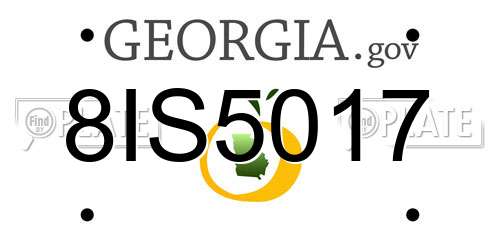 8IS5017 Georgia License Plate