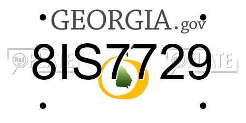 8IS7729 Georgia License Plate