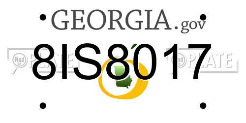 8IS8017 Georgia License Plate
