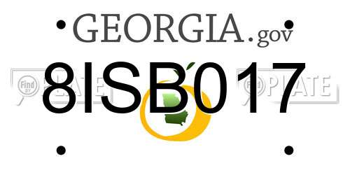 8ISB017 Georgia License Plate