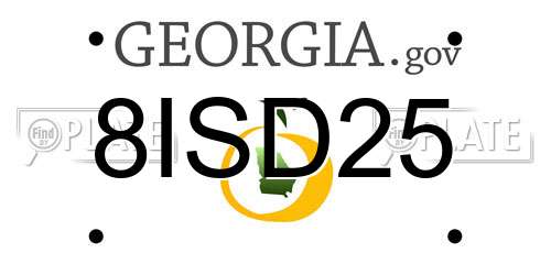 8ISD25 Georgia License Plate