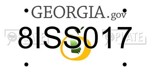 8ISS017 Georgia License Plate