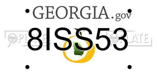 8ISS53 Georgia License Plate