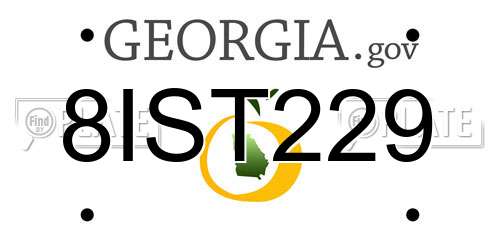 8IST229 Georgia License Plate