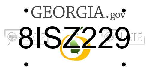 8ISZ229 Georgia License Plate