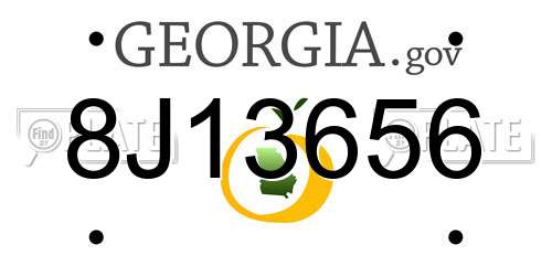 8J13656 Georgia License Plate