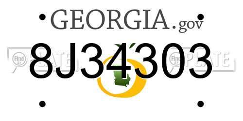 8J34303 Georgia License Plate