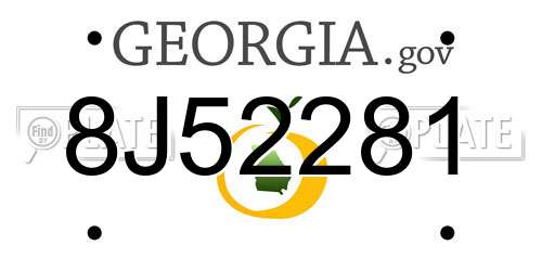 8J52281 Georgia License Plate